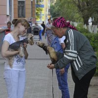Встреча :: Иван Генералов