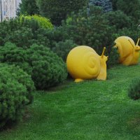 В мире огромных улиток :: Елена Шаламова В мире огромных улиток :: Елена Шаламова