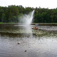 На городском озере.....