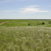 Весна в в степи.