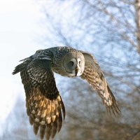 В дозоре. :: Михаил Белоусов