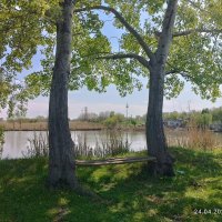 Пруд прогресс биофабрика Новокубанский район осень🍁🍂🍃 :: Вячеслав Коломойцев