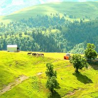 АРХЫЗ. ГОРЫ. БАЗА.