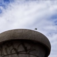 В небе стальная птичка
