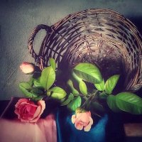 Если закончилось лето – не беда. Осень – это начало другой сказки, которая не менее прекрасна!