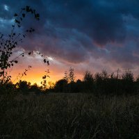 После дождя.