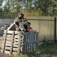 Приютились