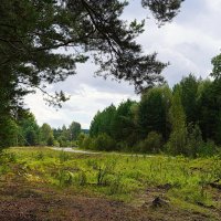 На прощанье с летом :: Галина Кан