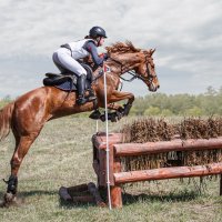 Кросс :: SanSan San