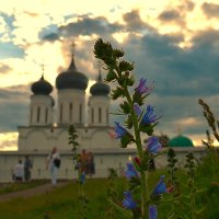 Путешествия