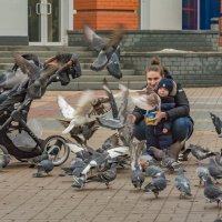 Цвета сентября...