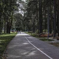 Природа :: Николай 