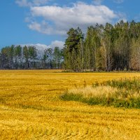 Осенний пейзаж