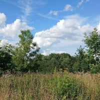Июль :: Наталья Герасимова Июль :: Наталья Герасимова