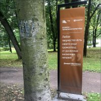 Политех