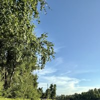 Вдоль озера :: Катя Гракова