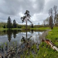 Лесное озеро :: Маргарита Б