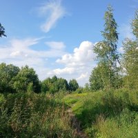 Июль :: Наталья Герасимова Июль :: Наталья Герасимова