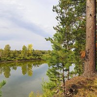 На берегу Томи :: Галина Кан На берегу Томи :: Галина Кан