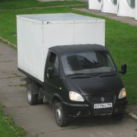 Кленовые листочки