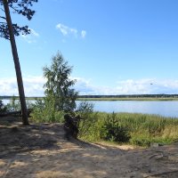берег реки