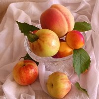 Дары лета :: Любовь Сахарова Дары лета :: Любовь Сахарова