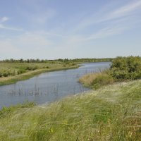 Местные виды. :: Виктор 