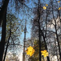 природа шепчет :: Олег Лукьянов природа шепчет :: Олег Лукьянов