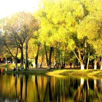 Осень золотая