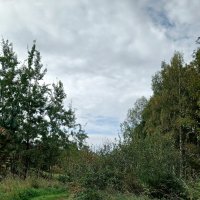 Дорогами сентября