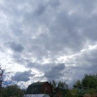 спасаются от дождя