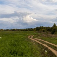 Дорога серою лентою вьется.