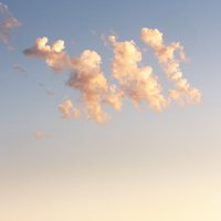 IMG_3656