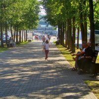 .. аллея на ул. Молочная горка в Костроме..