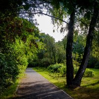 В парке Сокольники. Лето.