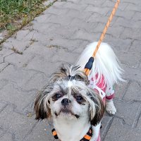 Будем знакомиться!