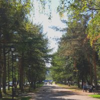 осень :: Венера Чуйкова