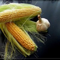 ОВОЩИ