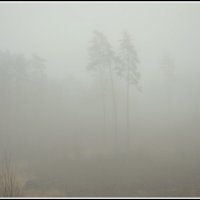Туманчик