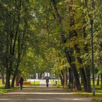 Прогулки в Осеннем Парке :: юрий поляков