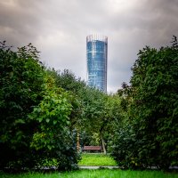 одинокая скамейка