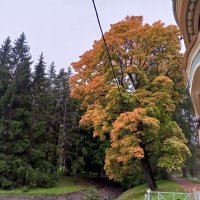 Осень