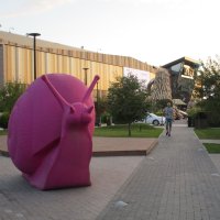 в мире гигантских улиток