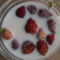Земляника в молоке