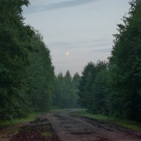 Дремлет взрытая дорога...
