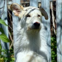 Зачем разбудил..?