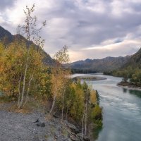 Осенняя Катунь :: Марина Фомина. Осенняя Катунь :: Марина Фомина.