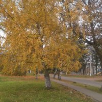 Осеннее