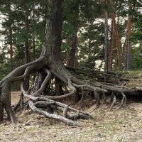 Держись крепче! :: Мария - Maria