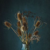 Натюрморт :: Liliya 